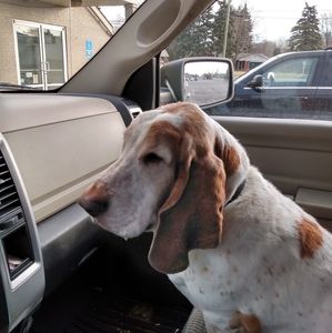 Meet your Posher, Kay